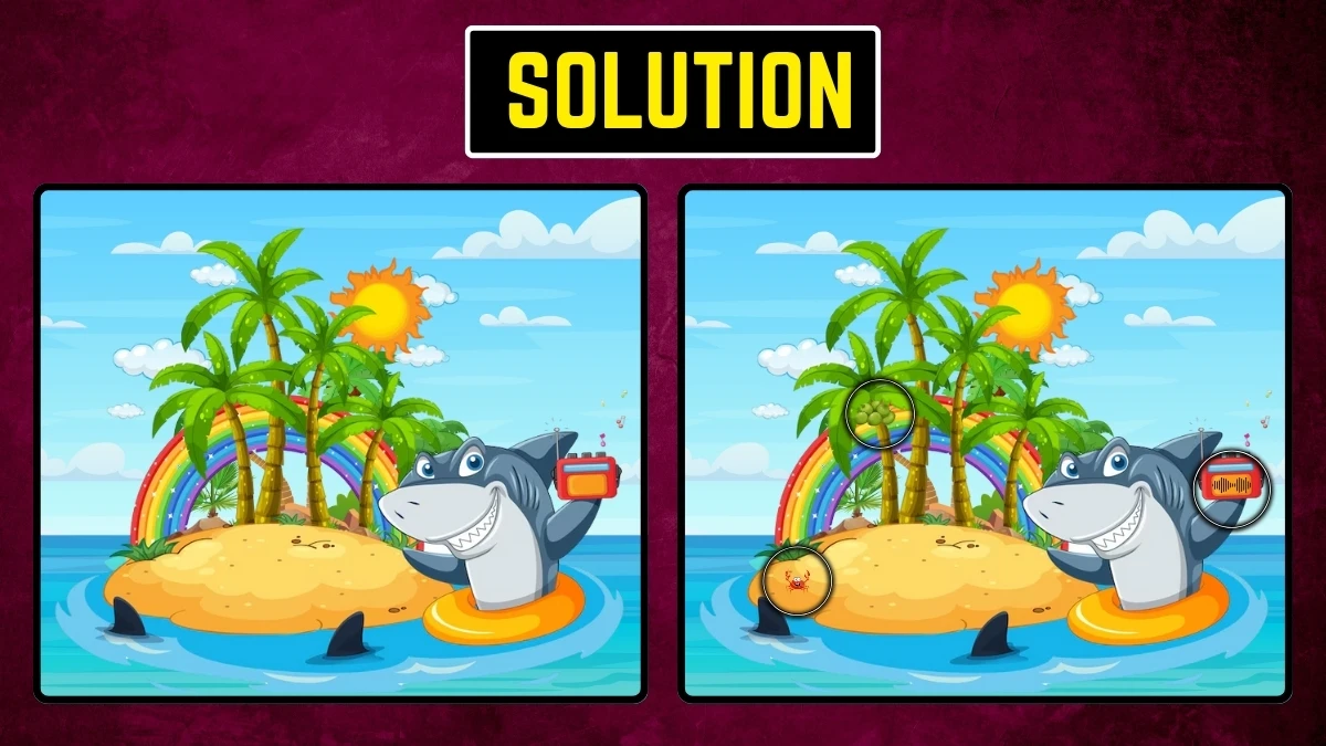 Brain Teaser: Within 10 Seconds Spot the 3 Differences in the Shark Pictures