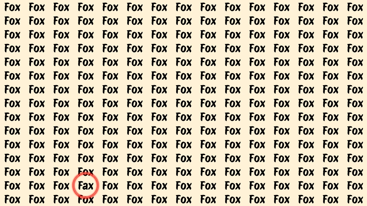 Brain Teaser: Within 5 Seconds Spot The Word Fax among Fox