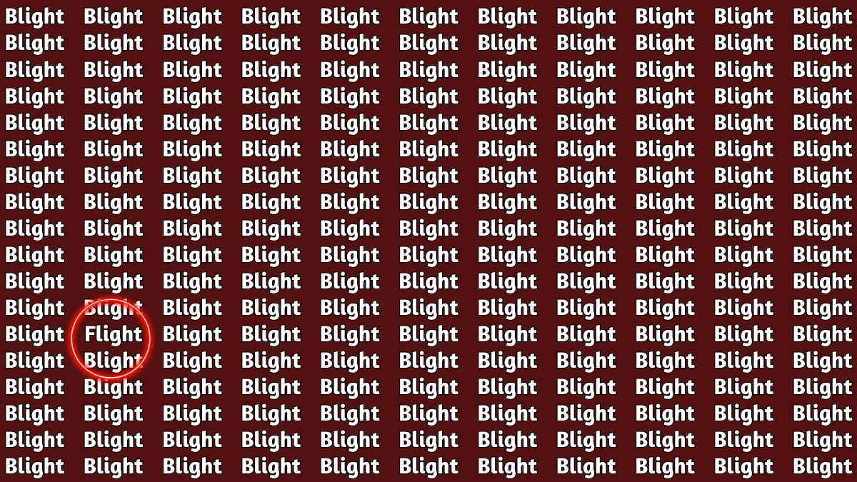 Brain Teaser: Within 5 Seconds Spot The Word Flight among Blight
