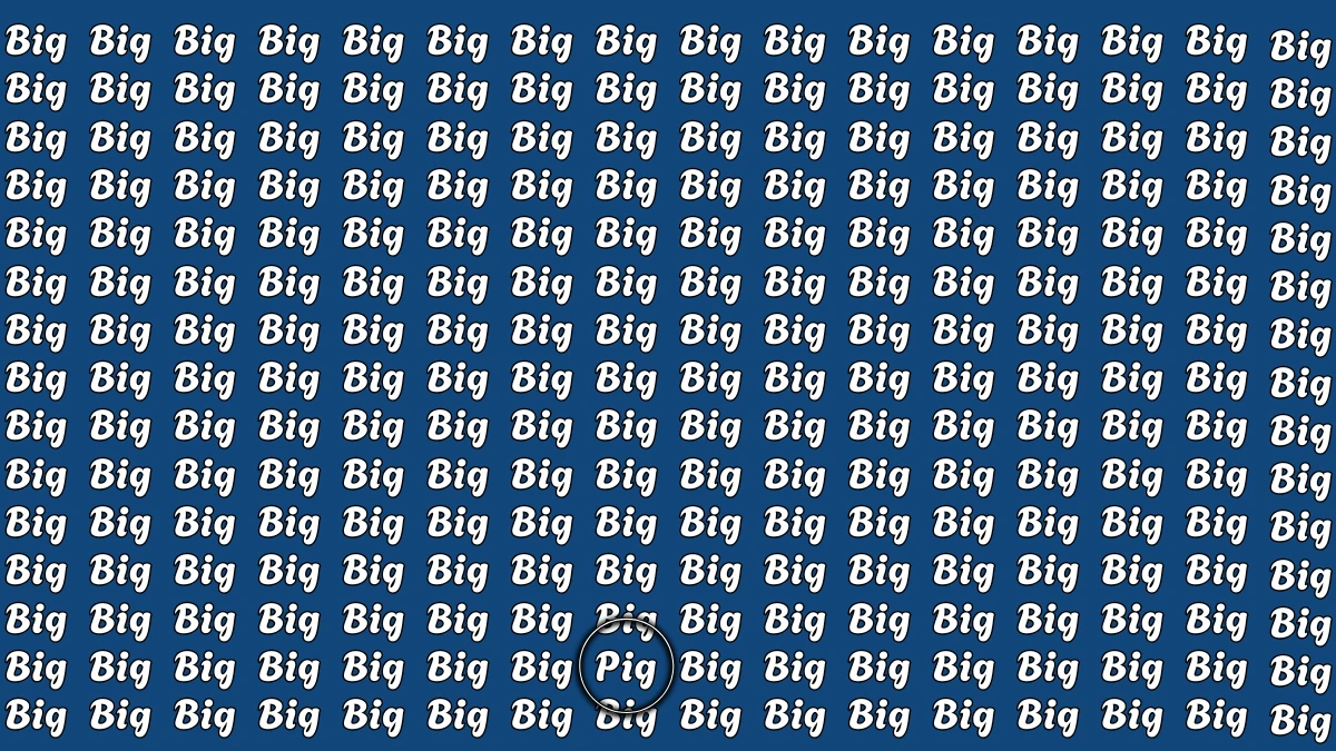 Brain Teaser: Within 5 Seconds Spot The Word Pig among Big