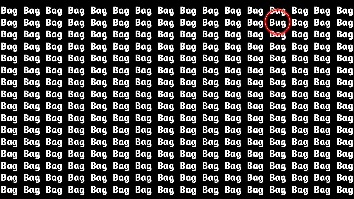 Brain Teaser: Within 6 Seconds Spot The Word Bug among Bag