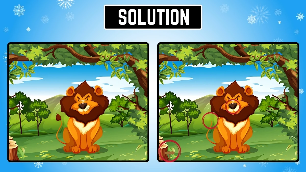 Brain Teaser: Within 9 Seconds Spot the 3 Differences in the Lion Pictures