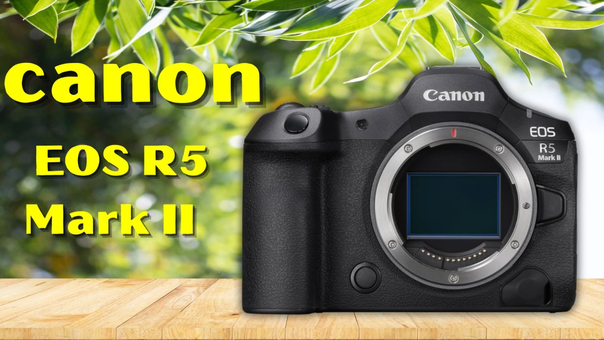 I Found Top 5 Best Mirrorless Cameras in 2025