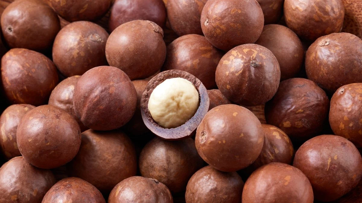 10 Common Foods That Will Kill Your Dog! Don't Feed This!