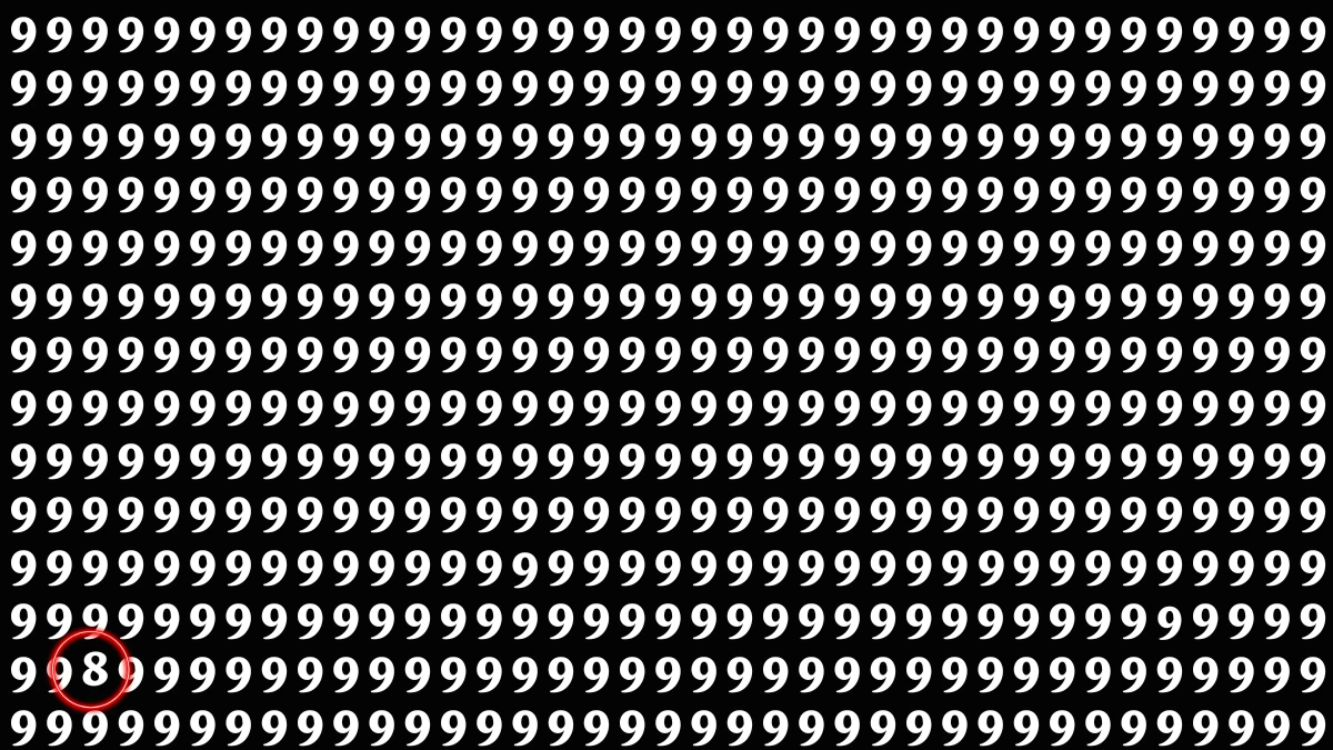 Observation Find it Out: Within 6 Seconds Spot The Number 8 among 9