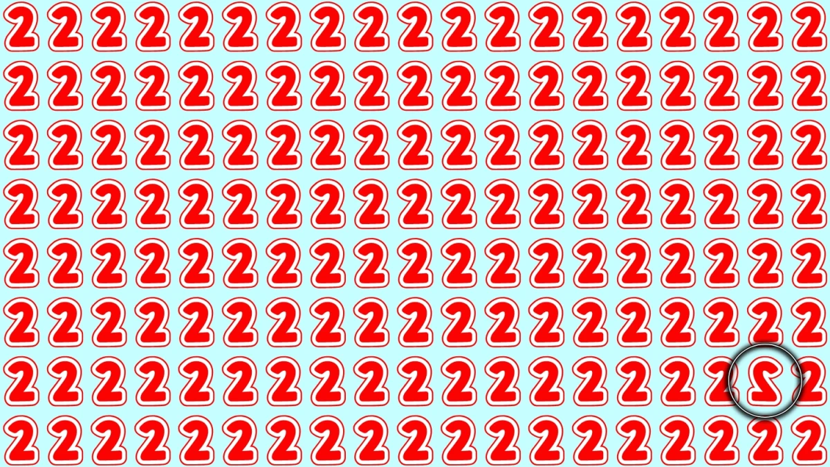 Observation Skills Test: Within 5 Seconds Spot The Inverted 2 among 2