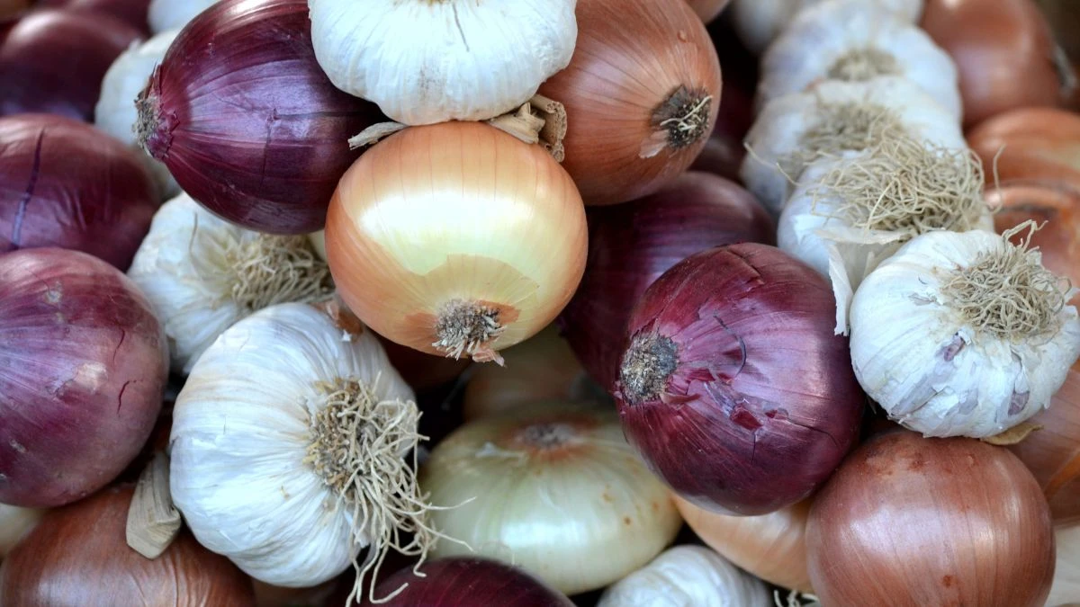 10 Common Foods That Will Kill Your Dog! Don't Feed This!