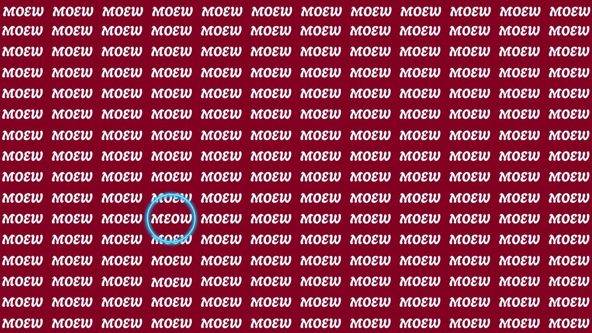 Only Those With HD Vision and Sharp Brain Can Find the Word MEOW among MOEW in 8 Secs in this Brain Teaser