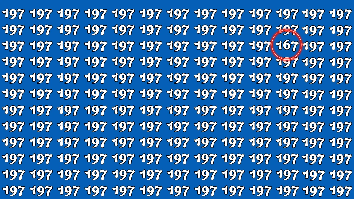 Optical Illusion 7 Seconds Challenge: Only People with Eagle Eyes Can spot the Number 167