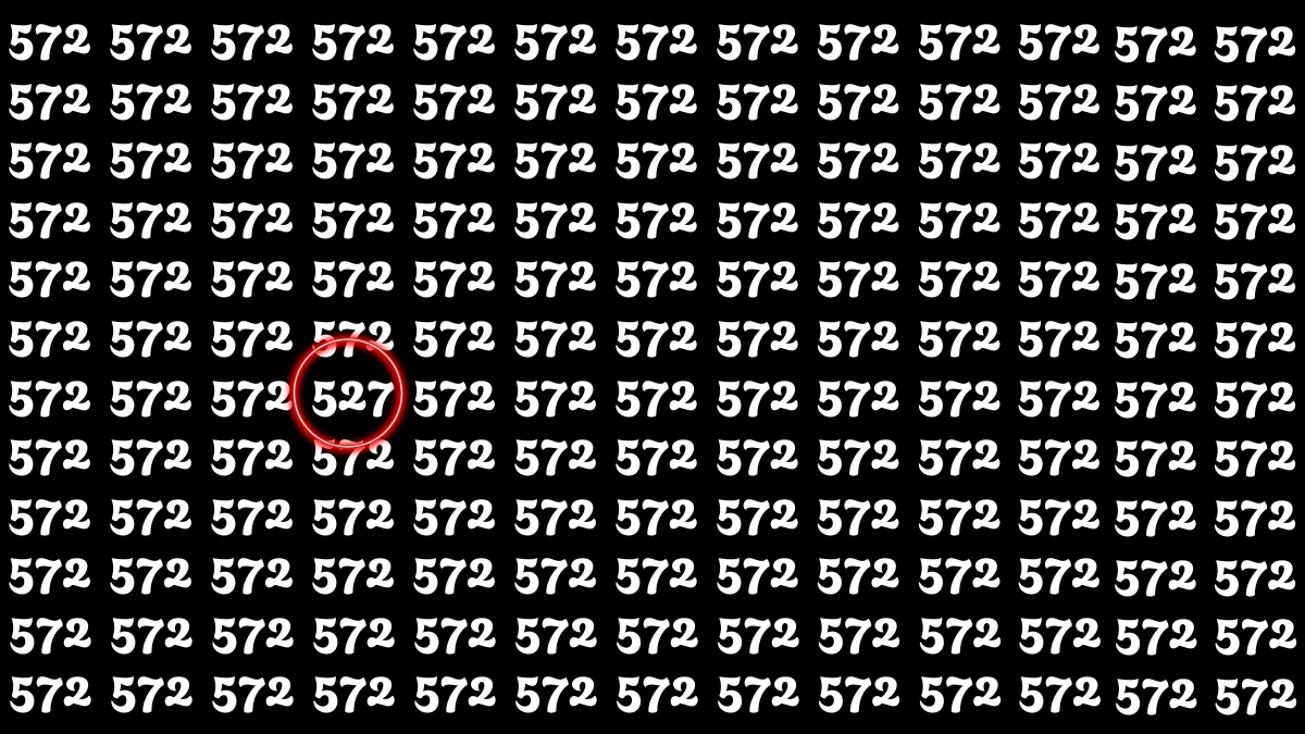 Optical Illusion 7 Seconds Challenge: Only People with Eagle Eyes Can spot the Number 527