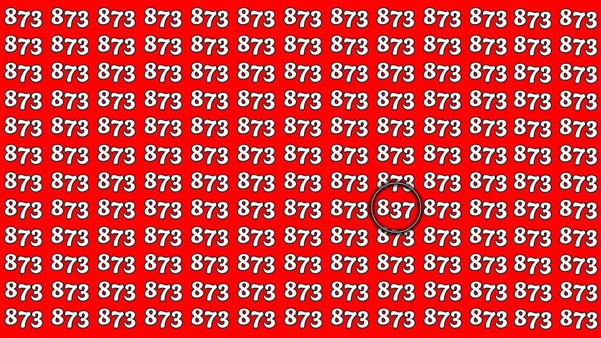 Optical Illusion 7 Seconds Challenge: Only People with Eagle Eyes Can spot the Number 837