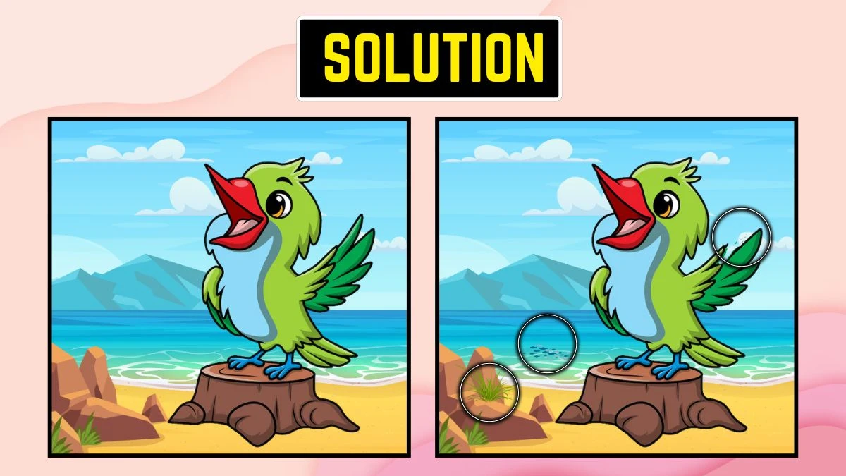 Optical illusion 8 Challenge: Spot the 3 differences in this Parrot Image
