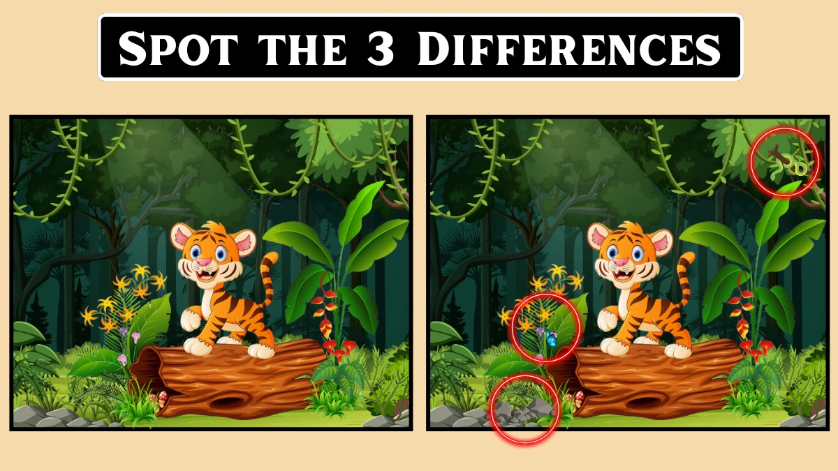 Optical Illusion 8 Challenge: Spot the 3 differences in this Tiger Image