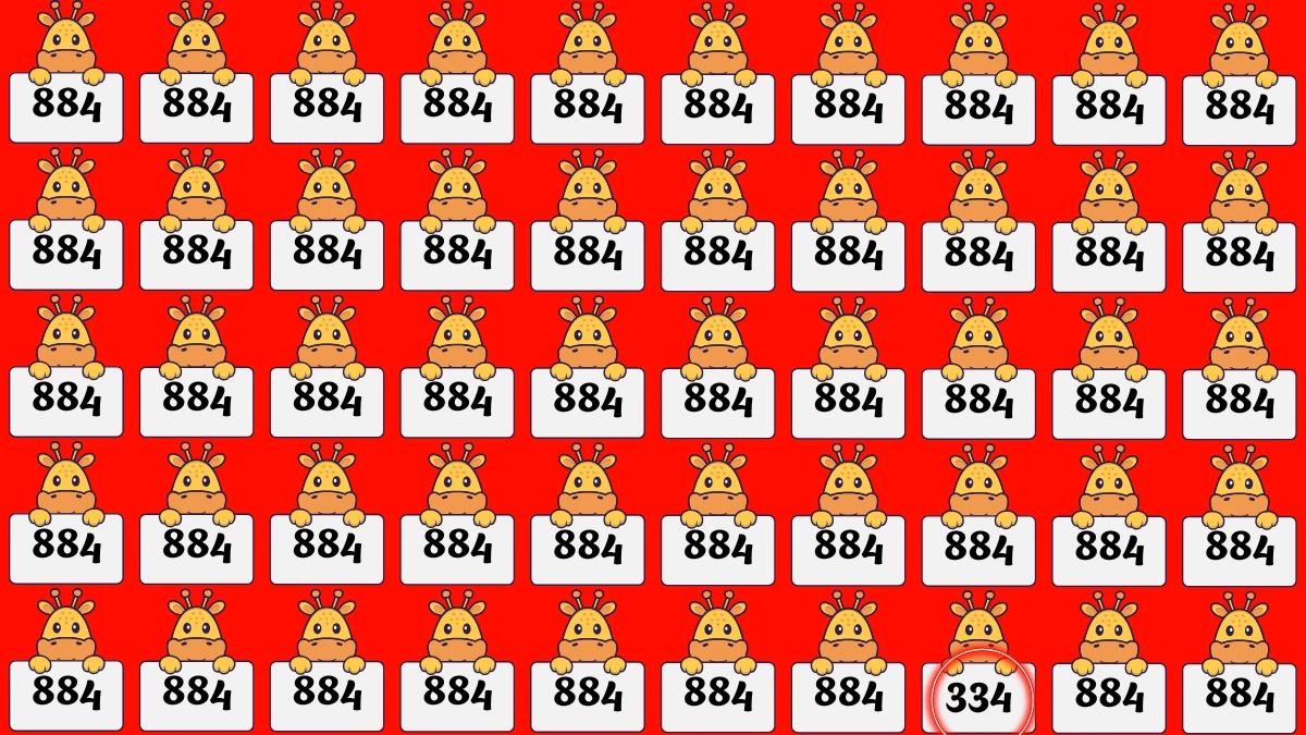 Optical Illusion 8 Seconds Challenge: Only People with Eagle Eyes Can spot the Number 334