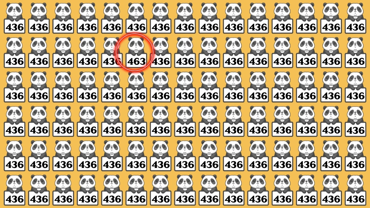 Optical Illusion 8 Seconds Challenge: Only People with Eagle Eyes Can spot the Number 463