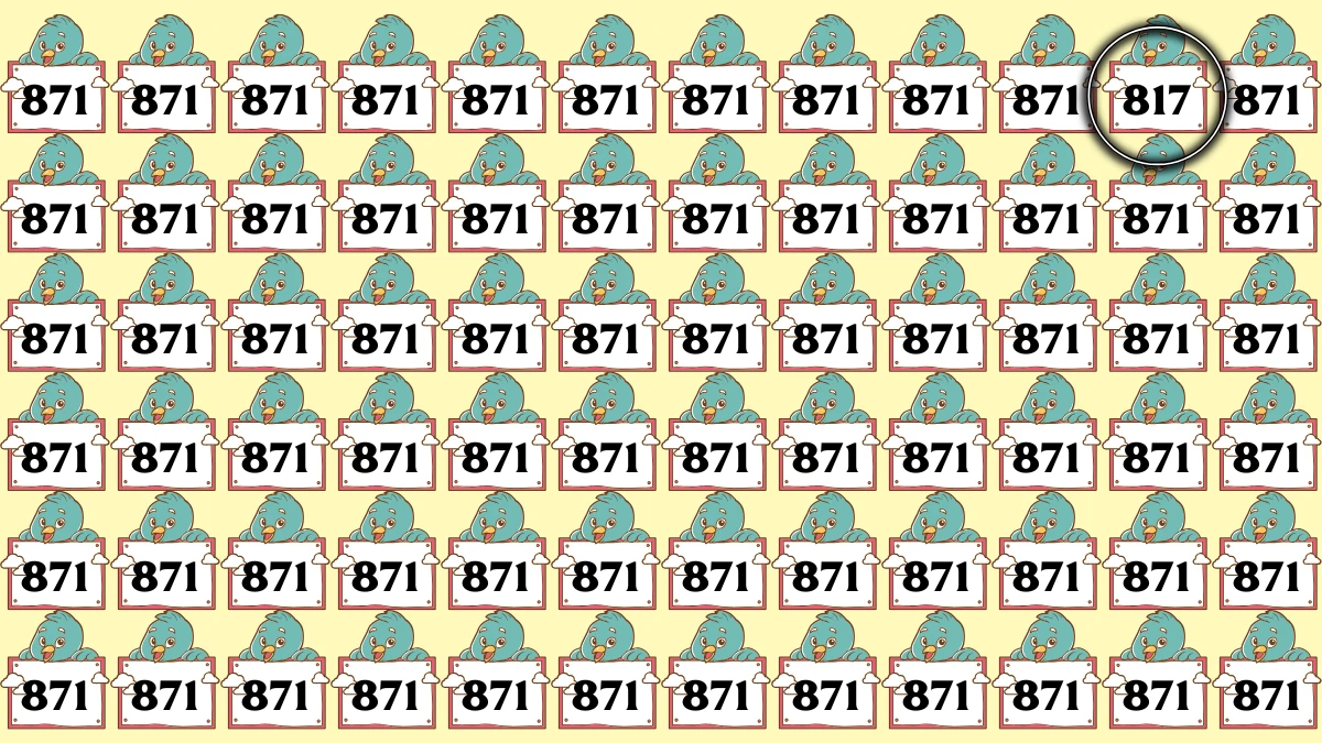 Optical Illusion 8 Seconds Challenge: Only People with Eagle Eyes Can spot the Number 817