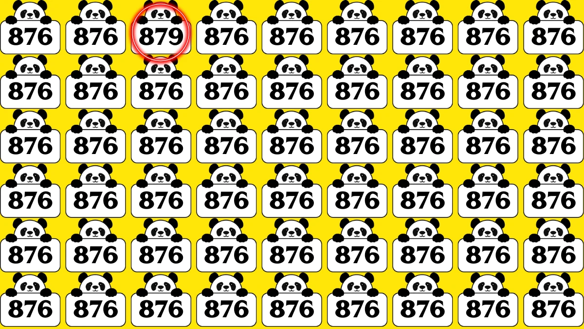 Optical Illusion 8 Seconds Challenge: Only People with Eagle Eyes Can spot the Number 879