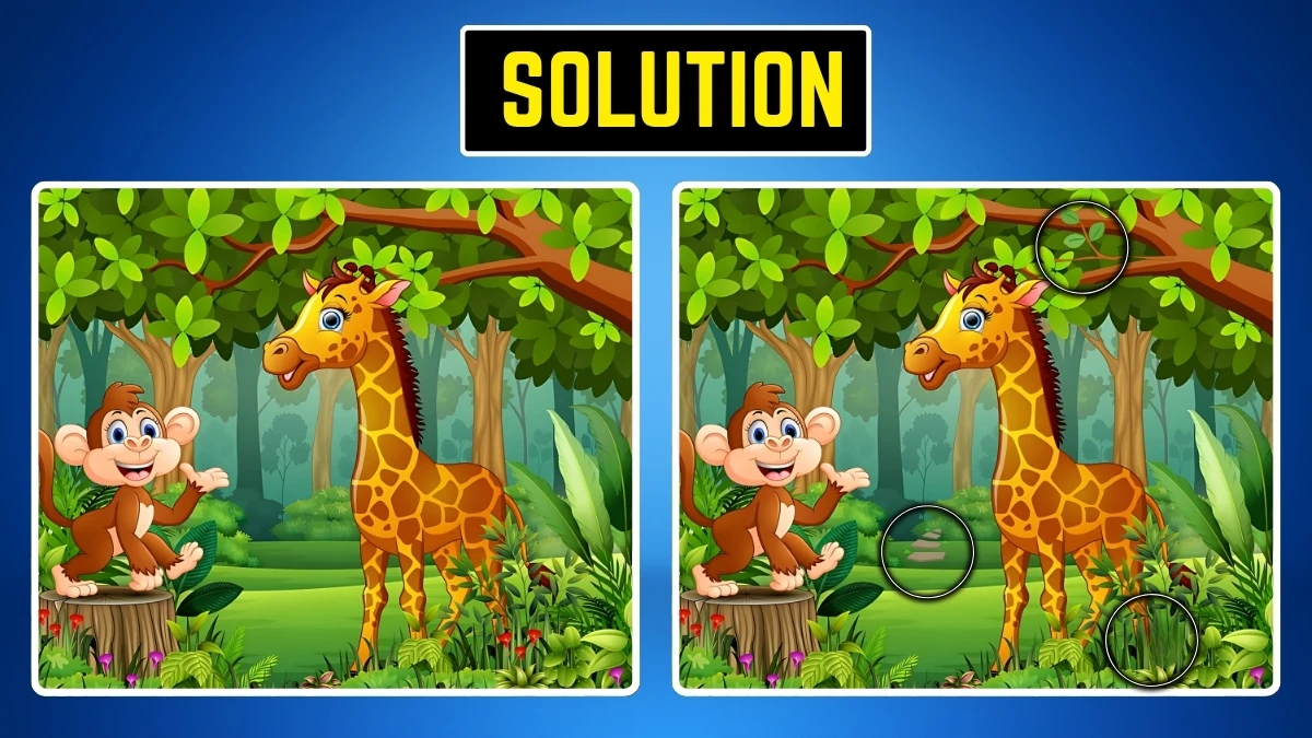 Optical Illusion Eye Test: Within 9 Secs Spot the 3 Differences in the Giraffe and Monkey Pictures