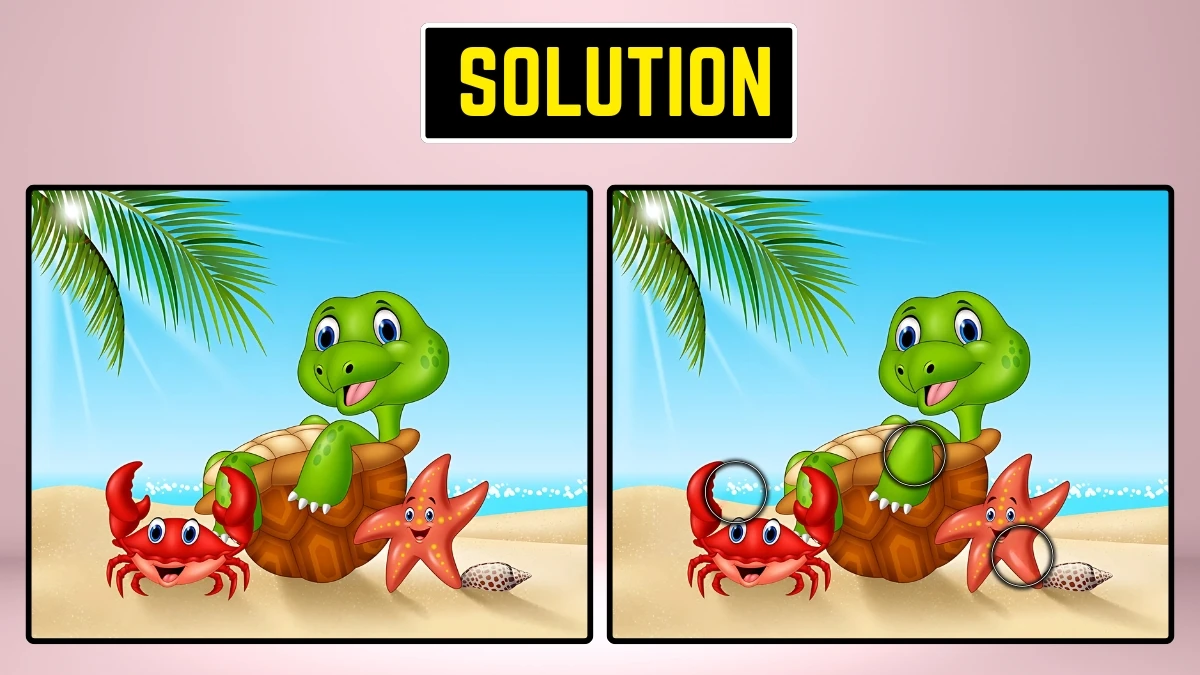 Optical Illusion Eye Test: Within 9 Secs Spot the 3 Differences