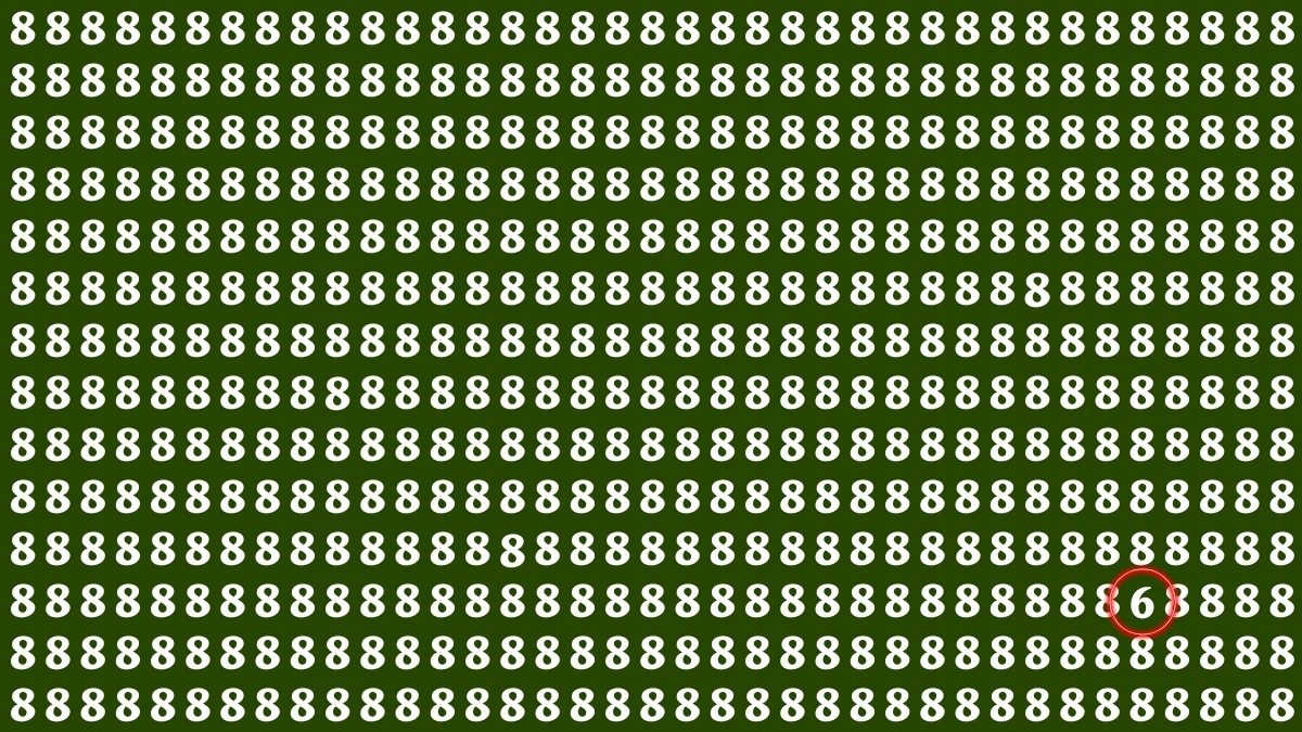 Optical Illusion IQ Test: Are You A Genius? Within 5 Seconds Spot The Number 6 among 8