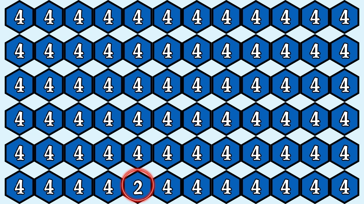 Optical Illusion IQ Test: Are You A Genius? Within 7 Seconds Spot The Number 2 among 4