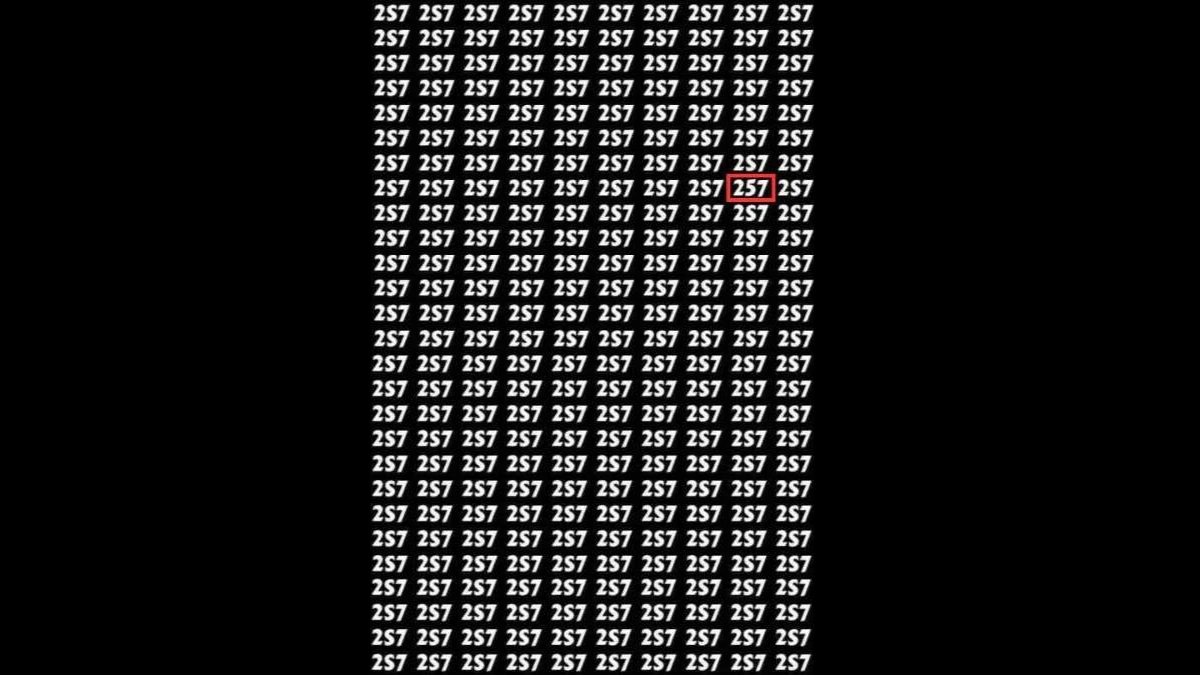 Optical Illusion IQ Test: Only Eagle Eyes Can Spot The Number 257 Hidden Among 2S7s In 5 Seconds
