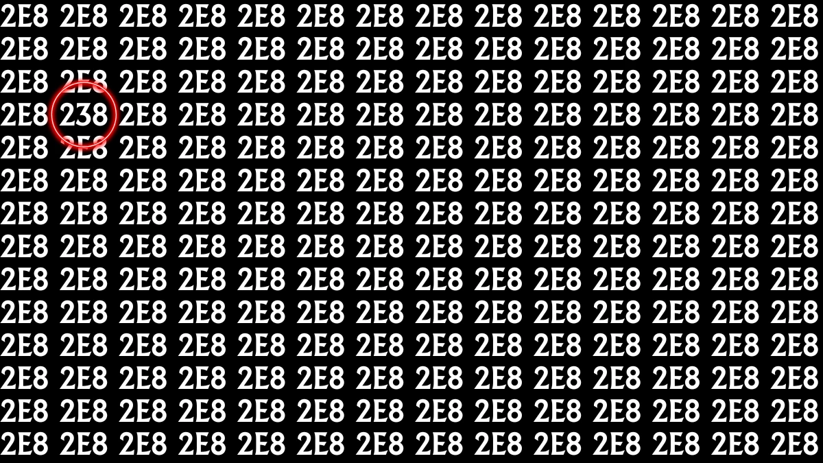 Optical Illusion: Only Sharp Eyes Can Find the Hidden 238 among 2E8s within 8 Seconds