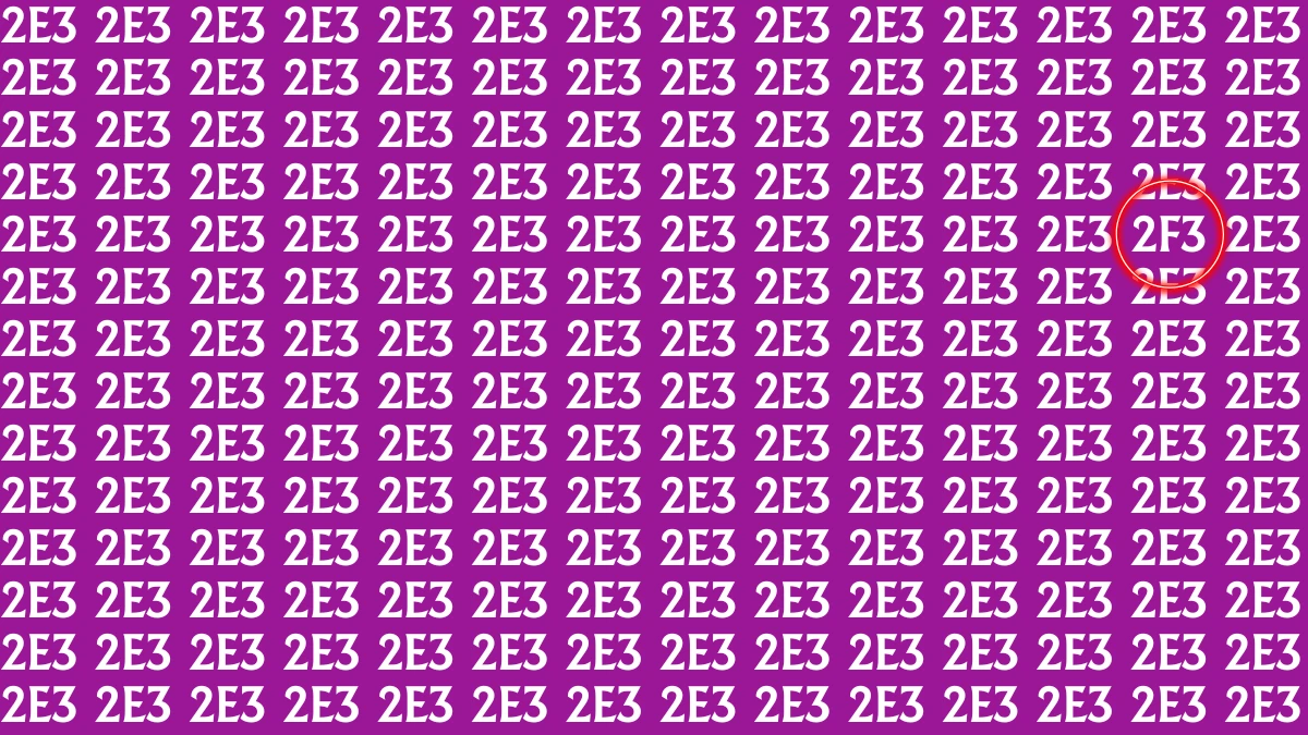 Optical Illusion: Only Sharp Eyes Can Find the Hidden 2F3 among 2E3s within 7 Seconds