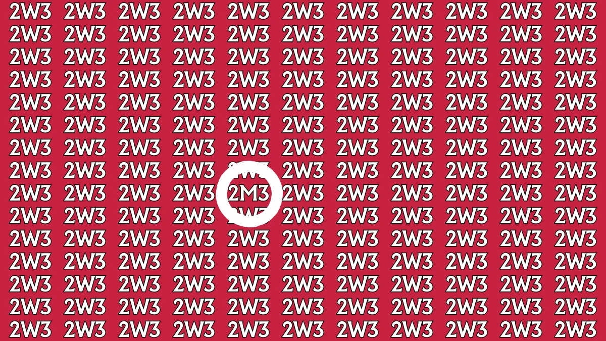 Optical Illusion: Only Sharp Eyes Can Find the Hidden 2M3 among 2W3s within 9 Seconds