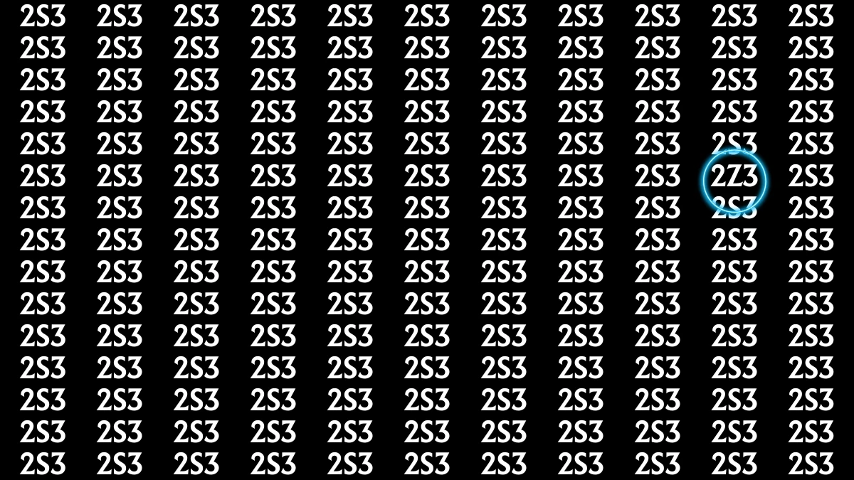 Optical Illusion: Only Sharp Eyes Can Find the Hidden 2Z3 among 2S3s within 9 Seconds
