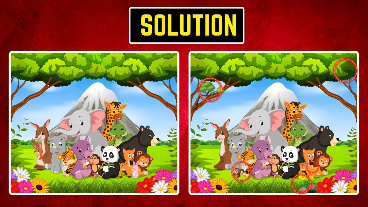 Optical Illusion Spot the Difference: Within 10 Seconds Spot the 5 Differences in the Animals Pictures