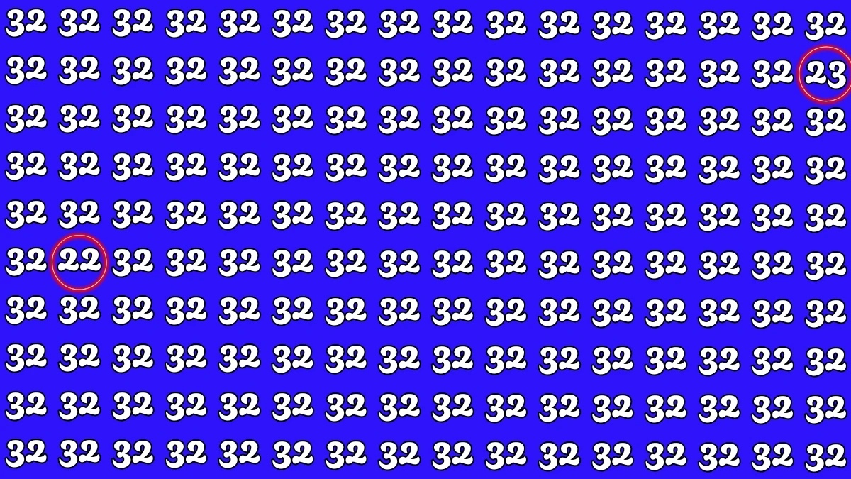 Optical Illusion: Within 5 Seconds Spot The Number 23 and 22 among 32