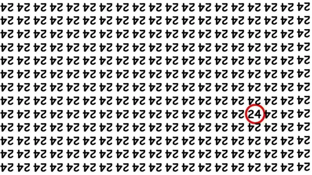 Optical Illusion: Within 5 Seconds Spot The Number 24 among Inverted 24s