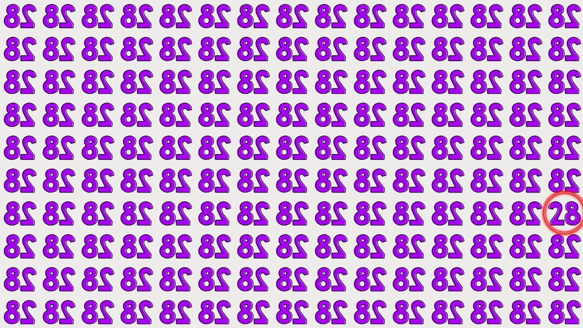 Optical Illusion: Within 5 Seconds Spot The Number 28 among Inverted 28