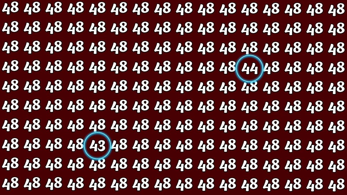 Optical Illusion: Within 5 Seconds Spot The Number 43 and 44 among 48