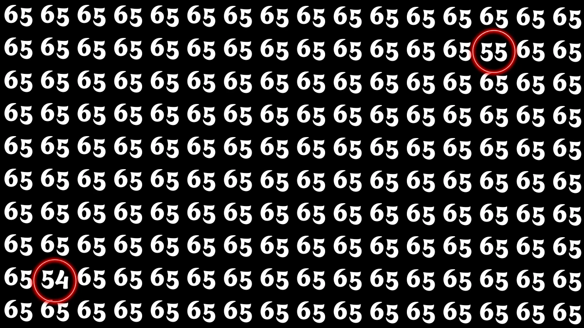 Optical Illusion: Within 5 Seconds Spot The Number 54 and 55 among 65