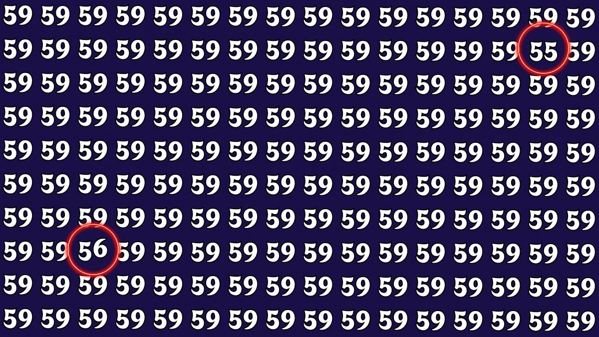 Optical Illusion: Within 5 Seconds Spot The Number 55 and 56 among 59