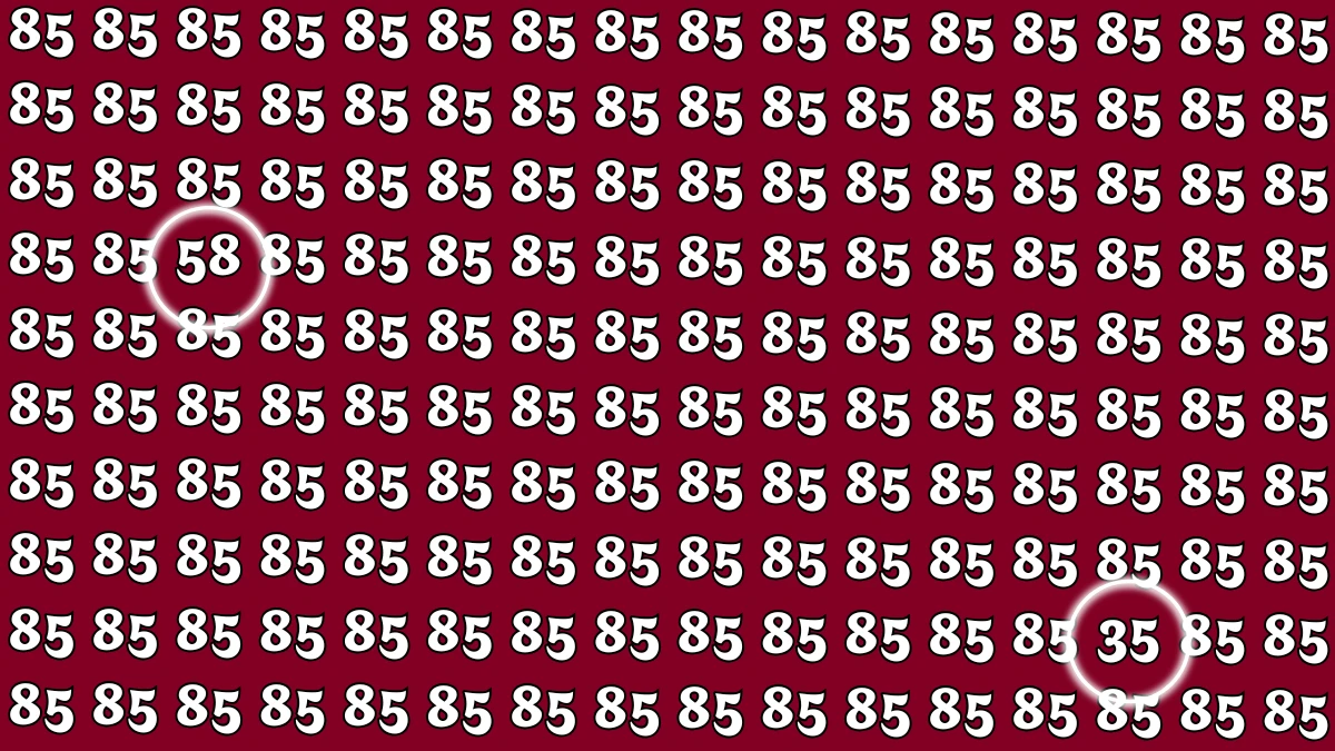 Optical Illusion: Within 5 Seconds Spot The Number 58 and 35 among 85
