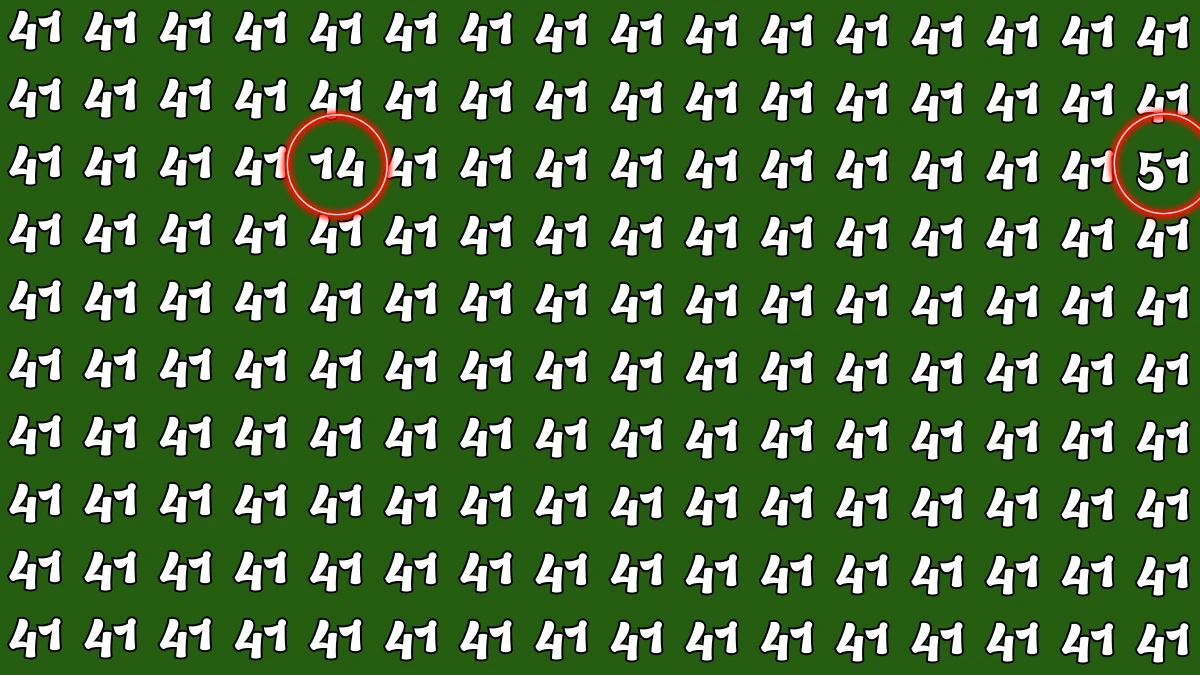 Optical Illusion: Within 6 Seconds Spot The Number 14 and 51 among 41