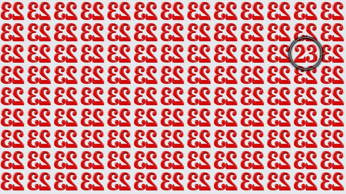 Optical Illusion: Within 6 Seconds Spot The Number 23 among Inverted 23