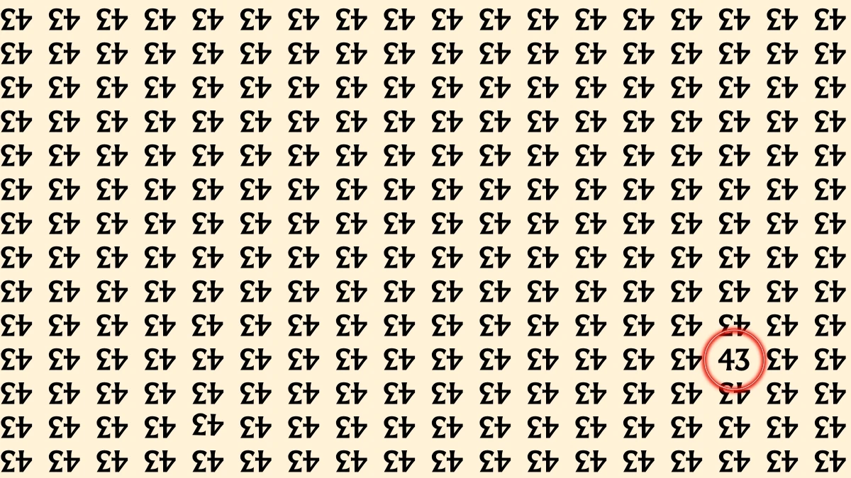 Optical Illusion: Within 6 Seconds Spot The Number 43 among Inverted 43s