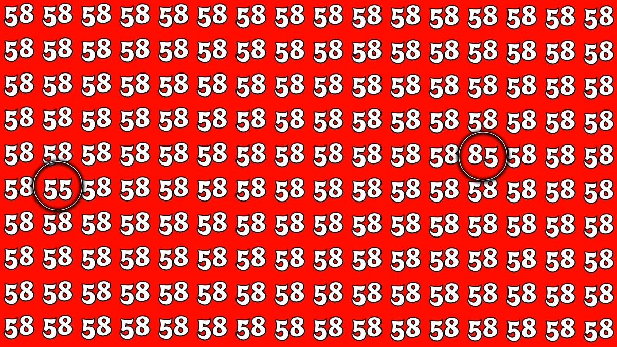 Optical Illusion: Within 6 Seconds Spot The Number 85 and 55 among 58