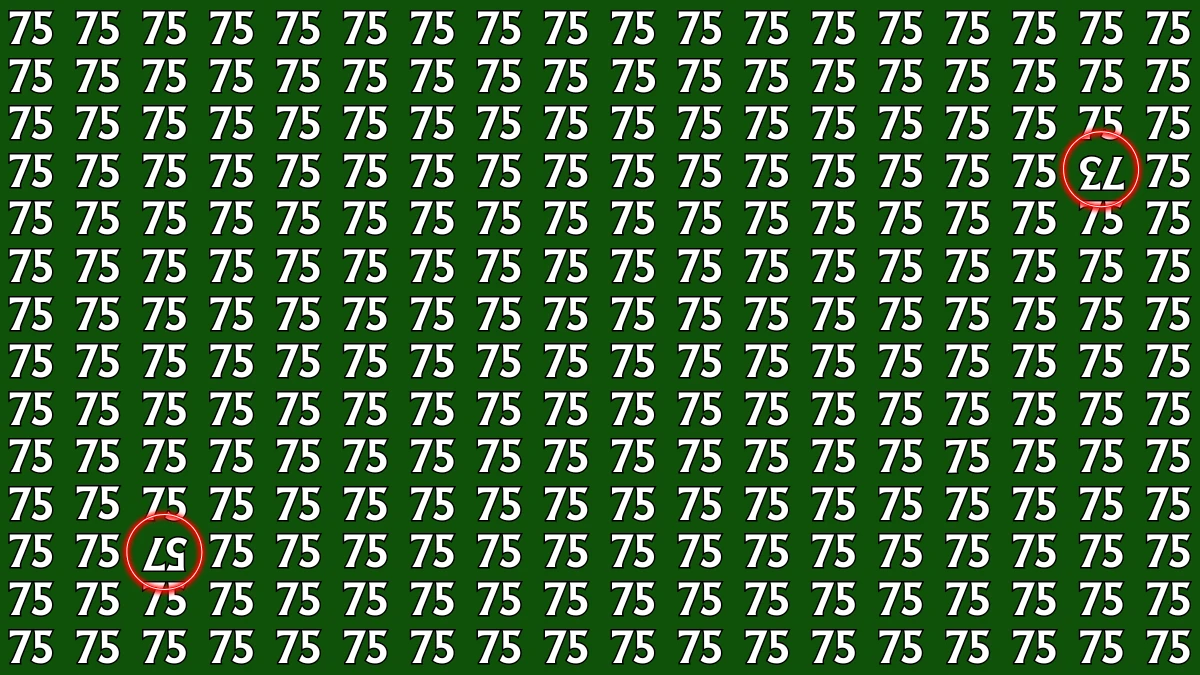Optical Illusion: Within 7 Seconds Spot The Inverted 73 and 57 among 75