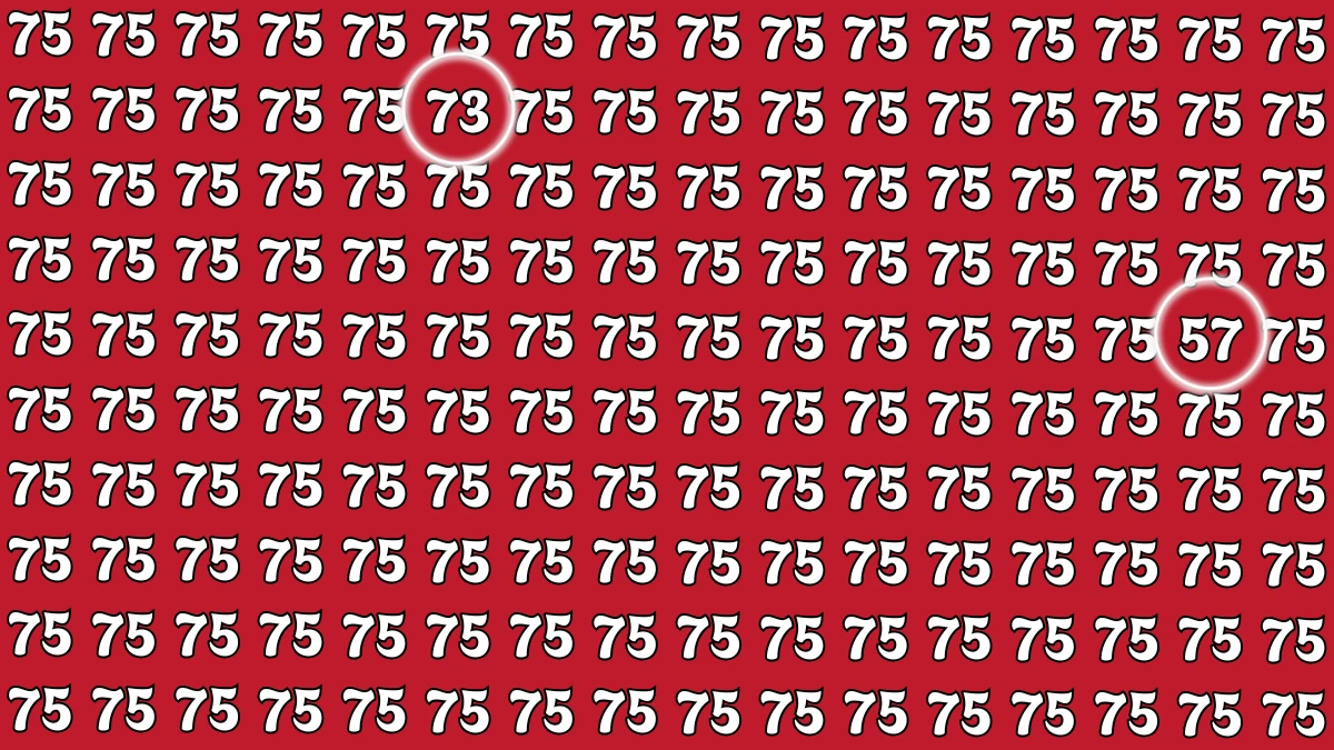 Optical Illusion: Within 7 Seconds Spot The Number 57 and 73 among 75