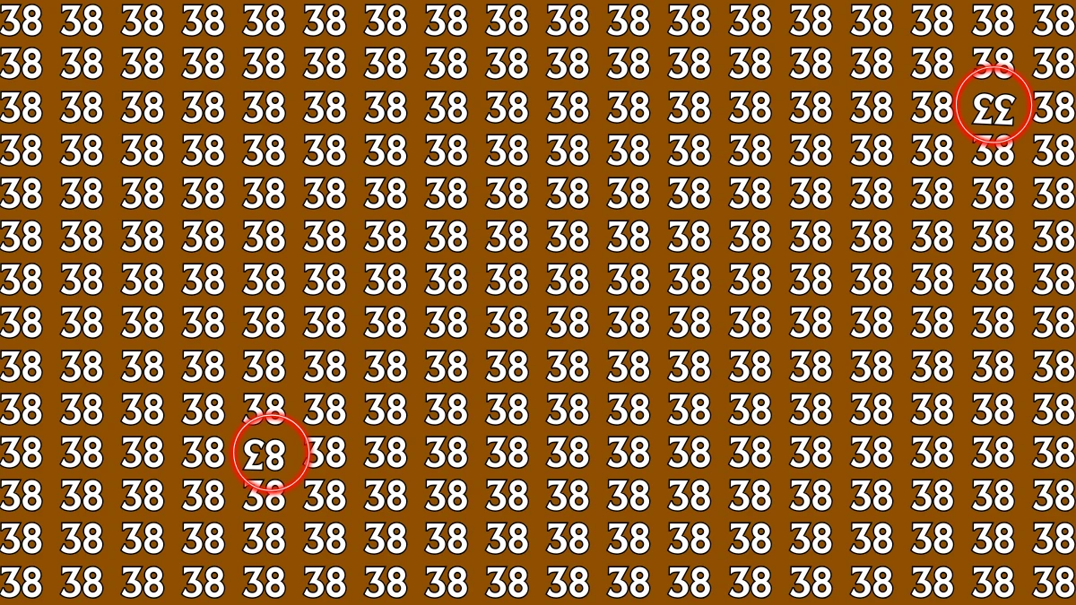 Optical Illusion: Within 8 Seconds Spot The Inverted 33 and 83 among 38