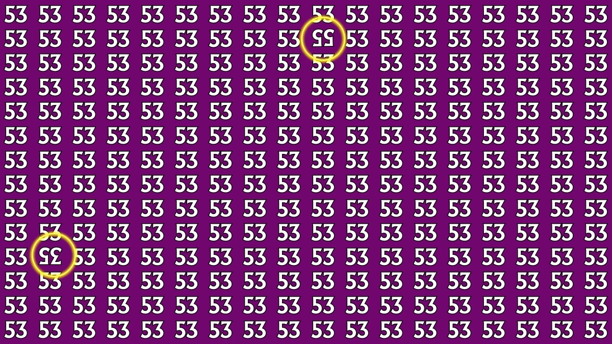 Optical Illusion: Within 8 Seconds Spot The Inverted 35 and 55 among 53
