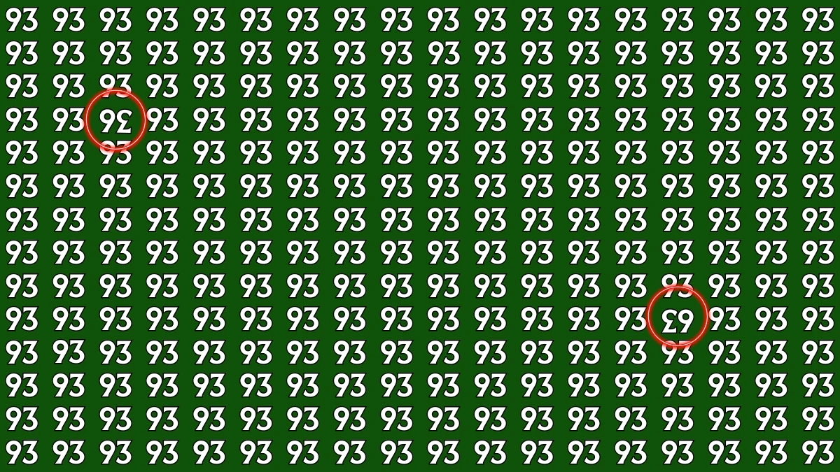 Optical Illusion: Within 8 Seconds Spot The Inverted 36 and 63 among 93