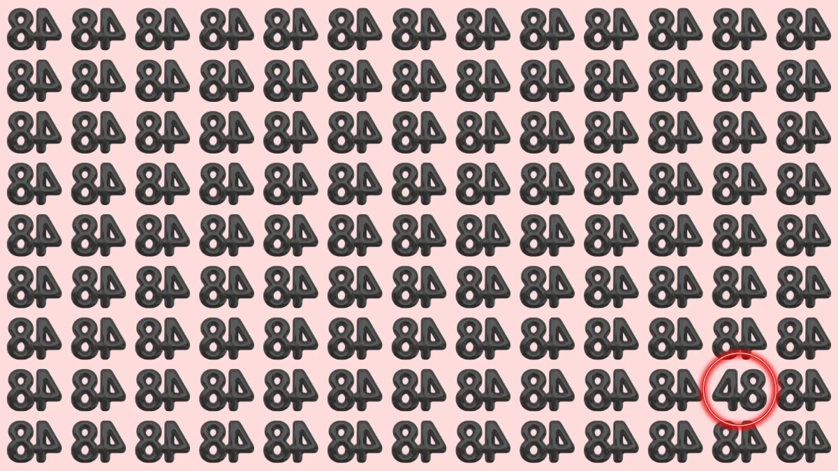 Optical Illusion: Within 9 Seconds Spot The Number 48 among Inverted 48