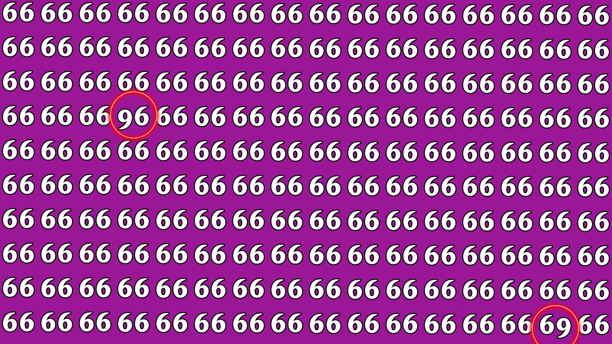 Optical Illusion: Within 9 Seconds Spot The Number 69 and 96 among 66
