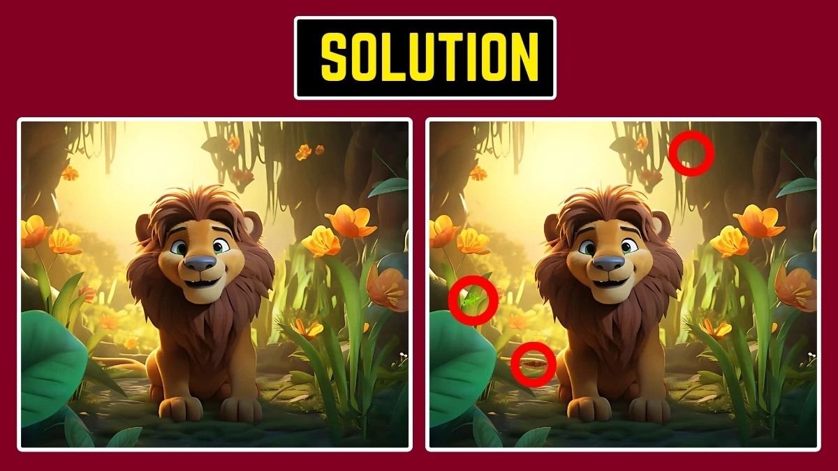Picture Puzzle IQ Test: Only High IQ Geniuses Can Spot the 3 Differences in this Lion Image in 10 Secs